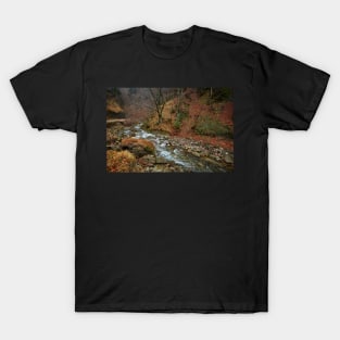 River in the mountains T-Shirt